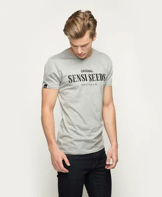 Original Sports T-Shirt Heather Grey