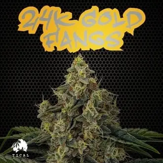 24K Gold Fangs cannabis seeds