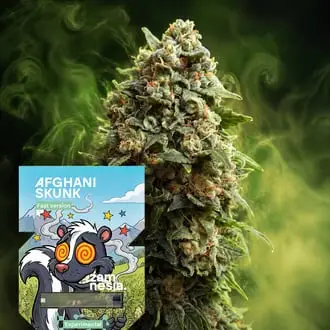 Afghani Skunk Fast Version cannabis seeds by Zamnesia Seeds