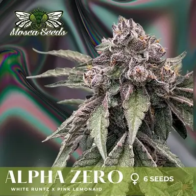 Alpha Zero cannabis seeds