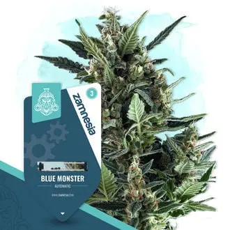 Auto Blue Monster cannabis seeds by Zamnesia Seeds