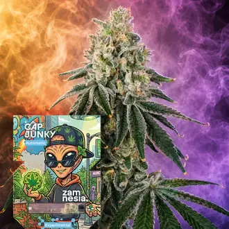 Auto Cap Junky cannabis seeds by Zamnesia Seeds
