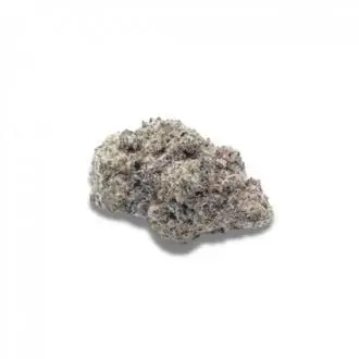 Auto Cherry Zoap cannabis seeds