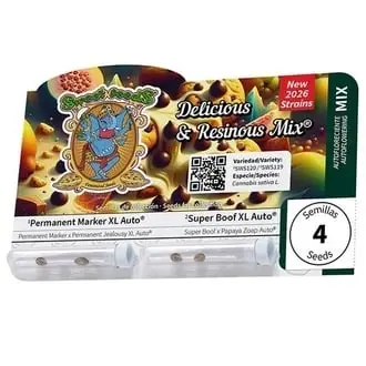 Auto Delicious & Resinous Mix cannabis seeds by Sweet Seeds