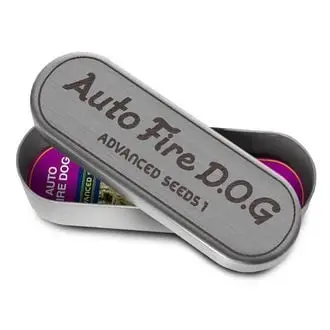 Auto Fire DOG cannabis seeds by Advanced Seeds