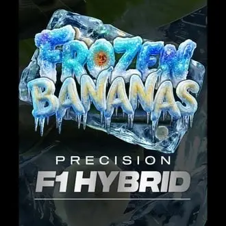 Auto Frozen Bananas F1 cannabis seeds by Barney's Farm