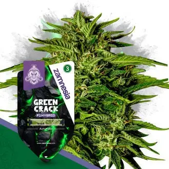 Auto Green Crack F1 cannabis seeds