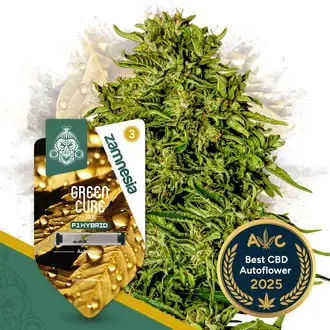 Auto Green Cure CBD F1 cannabis seeds by Zamnesia Seeds