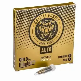 Auto Grizzly Purple cannabis seeds