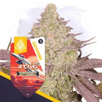 Auto Jet Fuel cannabis seeds