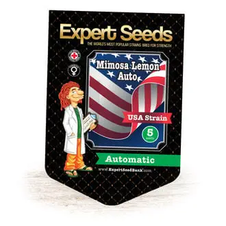 Auto Mimosa Lemon cannabis seeds