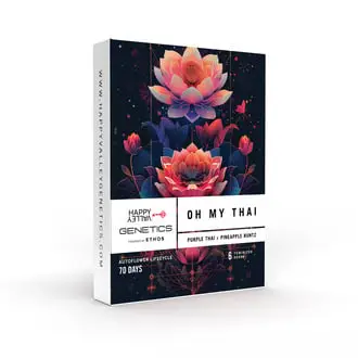 Auto Oh My Thai cannabis seeds