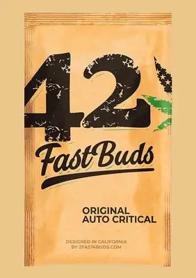Auto Original Critical cannabis seeds