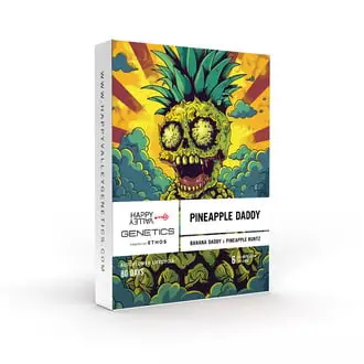 Auto Pineapple Daddy cannabis seeds by Happy Valley Genetics