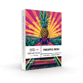 Auto Pineapple Diesel cannabis seeds