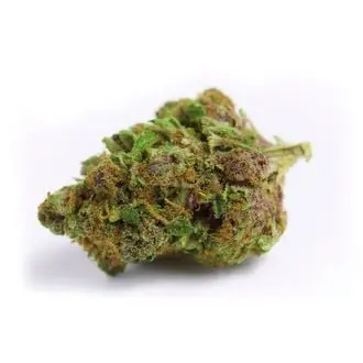 Auto Red Banana Berry XL cannabis seeds