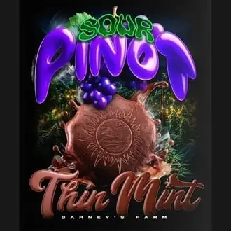 Auto Thin Mint x Sour Pinot cannabis seeds by Barney's Farm