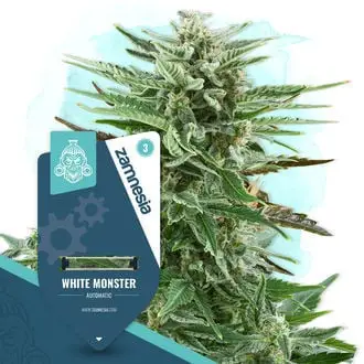 Auto White Monster cannabis seeds by Zamnesia Seeds