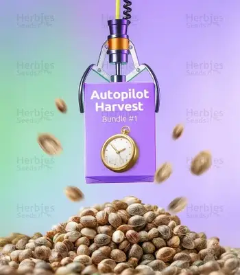 Autopilot Harvest Bundle #1 cannabis seeds