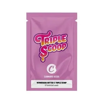 Berniehana Butter x Triple Scoop cannabis seeds