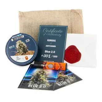 Blue 2.0 cannabis seeds by Zamnesia Seeds, Kannabia