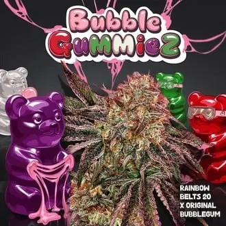 BubbleGummieZ cannabis seeds by T.H. Seeds