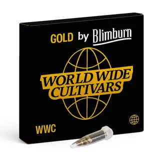 CBD ACDC cannabis seeds by Blimburn Seeds