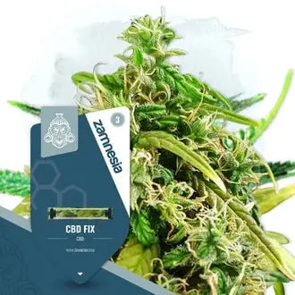 CBD Fix cannabis seeds by Zamnesia Seeds