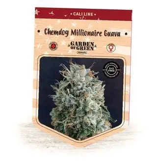 Chemdog Millionaire Guava cannabis seeds by Garden of Green