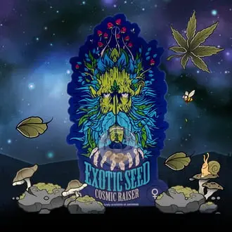 Cosmic Raiser cannabis seeds by Exotic Seed