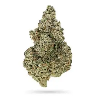 Crazy Roses Fast Version cannabis seeds by Growers Choice