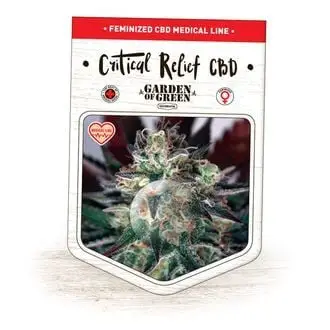 Critical Relief CBD cannabis seeds by Garden of Green