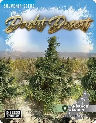 Dasht Desert cannabis seeds