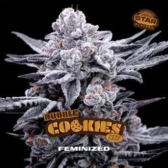 Double Cookies cannabis seeds by BSF Seeds