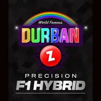 Durban Z F1 cannabis seeds