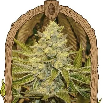 Exotic Animal cannabis seeds