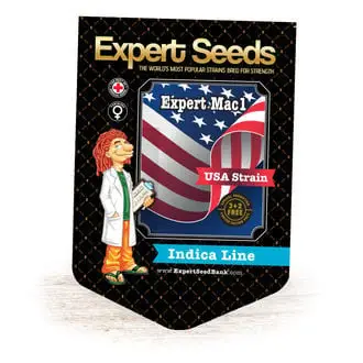 Expert Mac1 cannabis seeds
