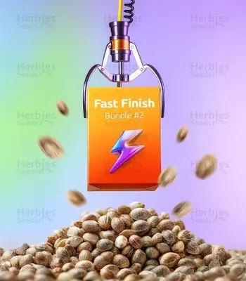 Fast Finish Bundle #2 cannabis seeds
