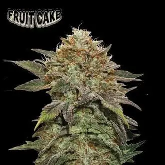 Fruit Cake cannabis seeds