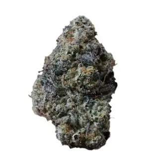 Gary Sherbet cannabis seeds