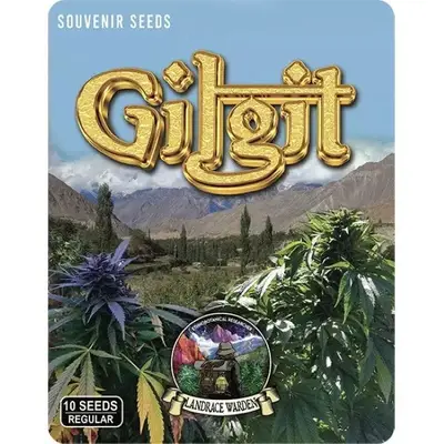 Gilgit Green cannabis seeds