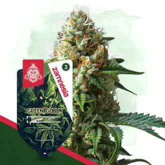 Green Goblin cannabis seeds by Zamnesia Seeds