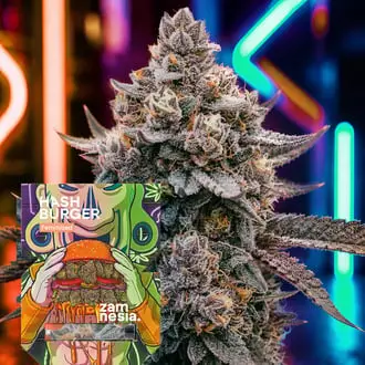 Hash Burger cannabis seeds by Zamnesia Seeds