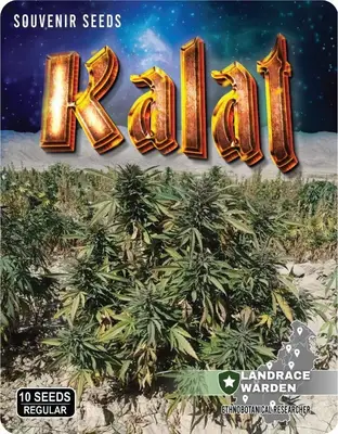 Kalat cannabis seeds
