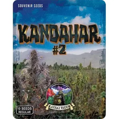 Kandahar Arghandab #2 cannabis seeds
