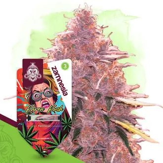 Karen Kush cannabis seeds by Zamnesia Seeds