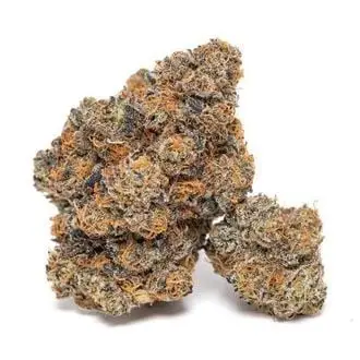 King Louis Garcia cannabis seeds by Growers Choice