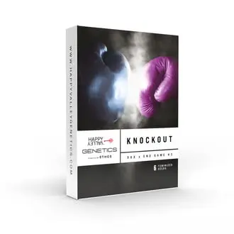 Knockout cannabis seeds by Happy Valley Genetics