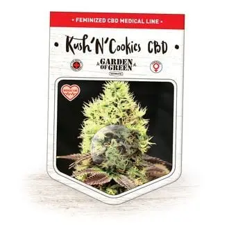 Kush'N'Cookies CBD cannabis seeds by Garden of Green