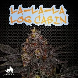 La-La-La Log Cabin cannabis seeds